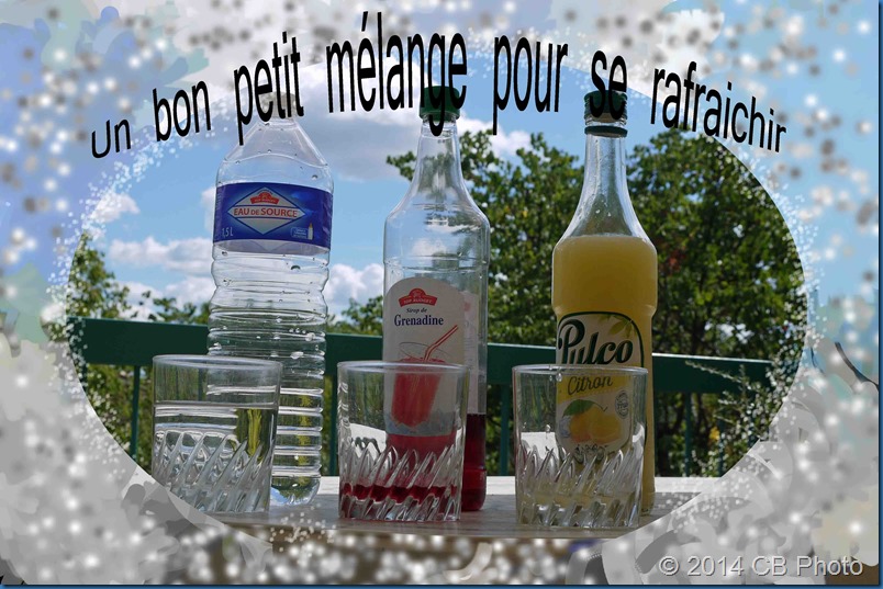 P1980247_modifié-2