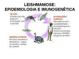 LEISHMANIOSE VISCERAL