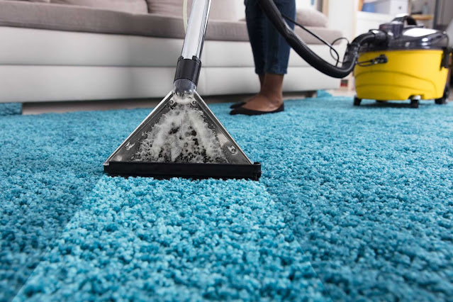 How to Choose the Best Carpet Cleaning Company for Your Home