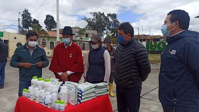 Productores de Quimiag recibieron paquetes tecnológicos para mejorar la producción de papa 