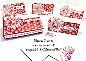 Narrow Note Cards Using Dashing Along DSP: Great For Craft Fairs Nigezza Creates