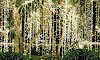 Top 10 Fairy Lights for Home Décor  in 2025