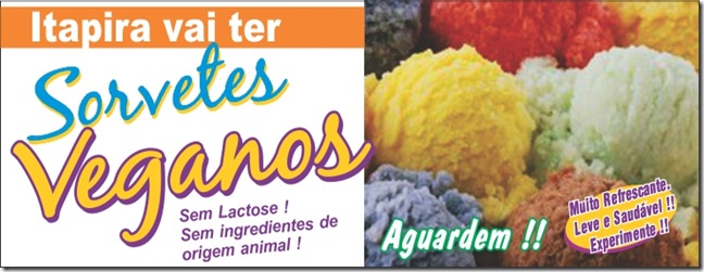 sorvetes veganos2