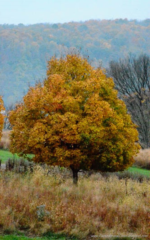 Fall