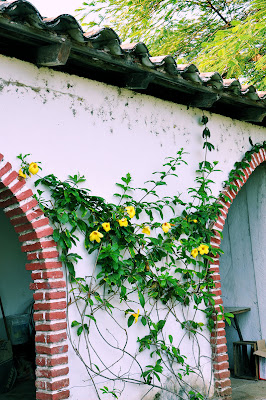 Imágenes gratis de flores, anturios, rosas, azalias, jaboneras, casas viejas y haciendas