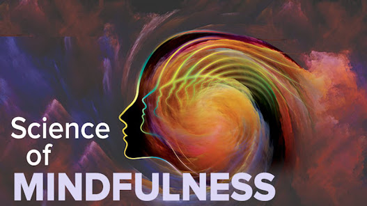 "The Science of Mindfulness: How to Find Peace in a Busy World" 2023