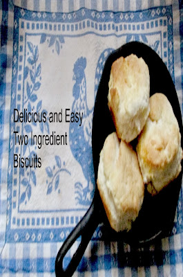 Delicious and Easy Two Ingredient Biscuits