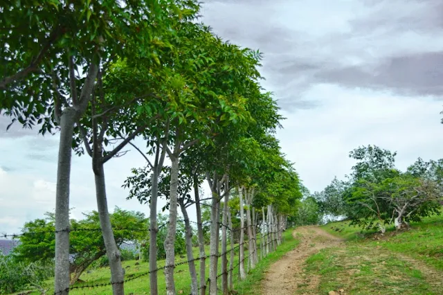 Mau ke Tempat wisata Menarik di Aceh, ini salah satunya