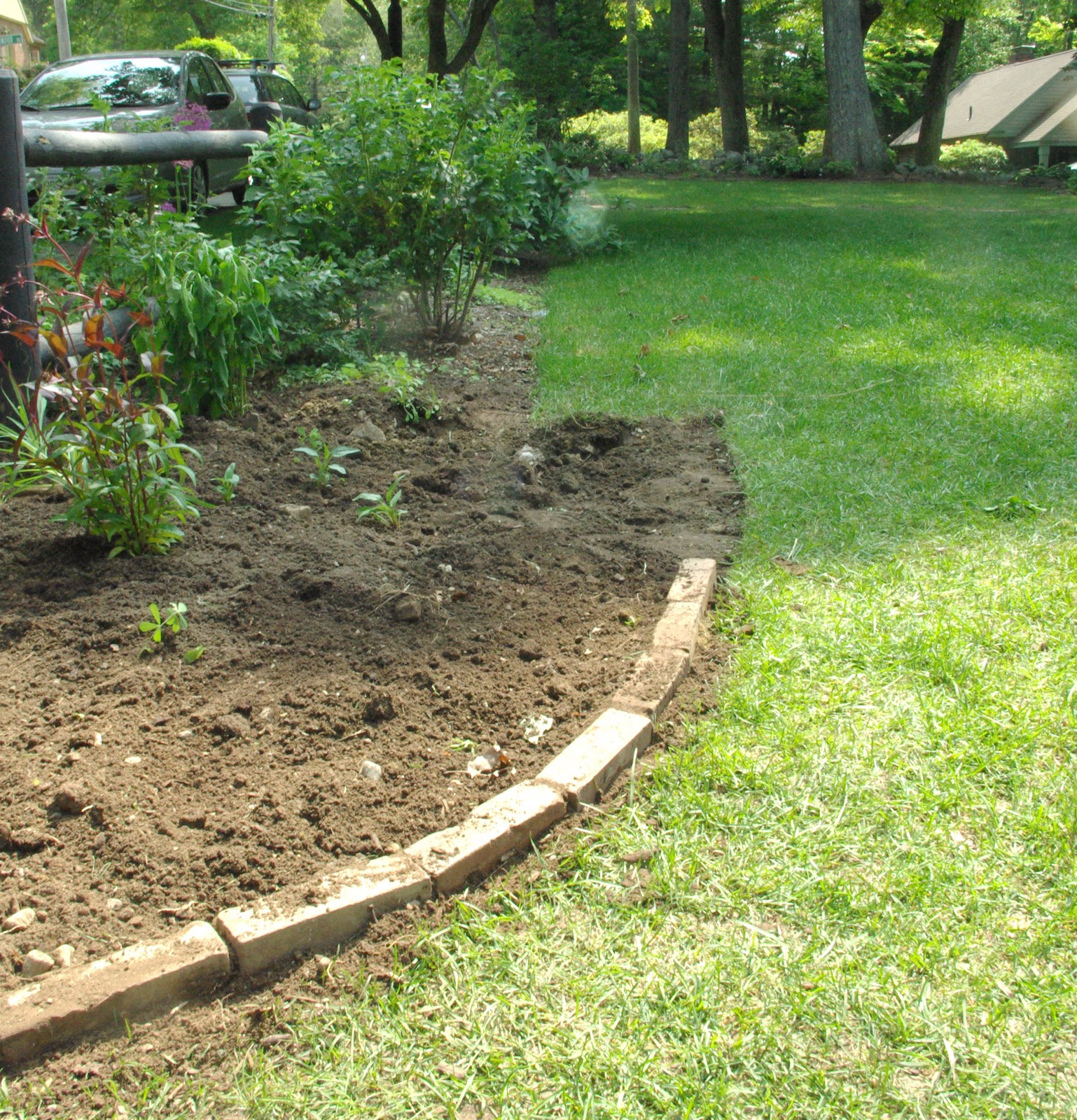 A Riverside Garden Makeover: from nothing to native paradise in ...