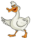 patos gifs buscoimagenes (2)