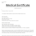  Fit for employment medical certificate - Word