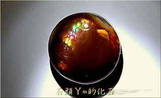 §上品原礦§ 寶石級 *閃動變彩* 7.4ct【墨西哥 火瑪