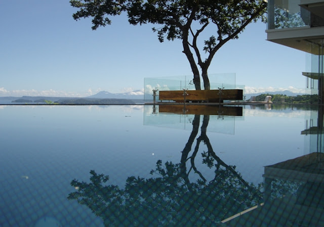 Photo of a tree grown into the terrace as seen from the pool