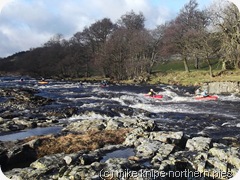 canoes