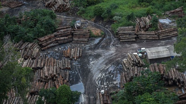 Desmate na Amazônia sobe durante pandemia e acumula alta de 55% em 2020