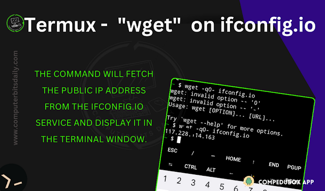 "wget" on ifconfig.io