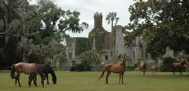 horse-wallpaper-riding