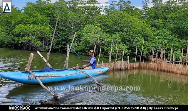 Maduganga Estuary