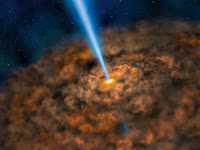 SOFIA Finds Cool Dust Around Energetic Active Black Holes