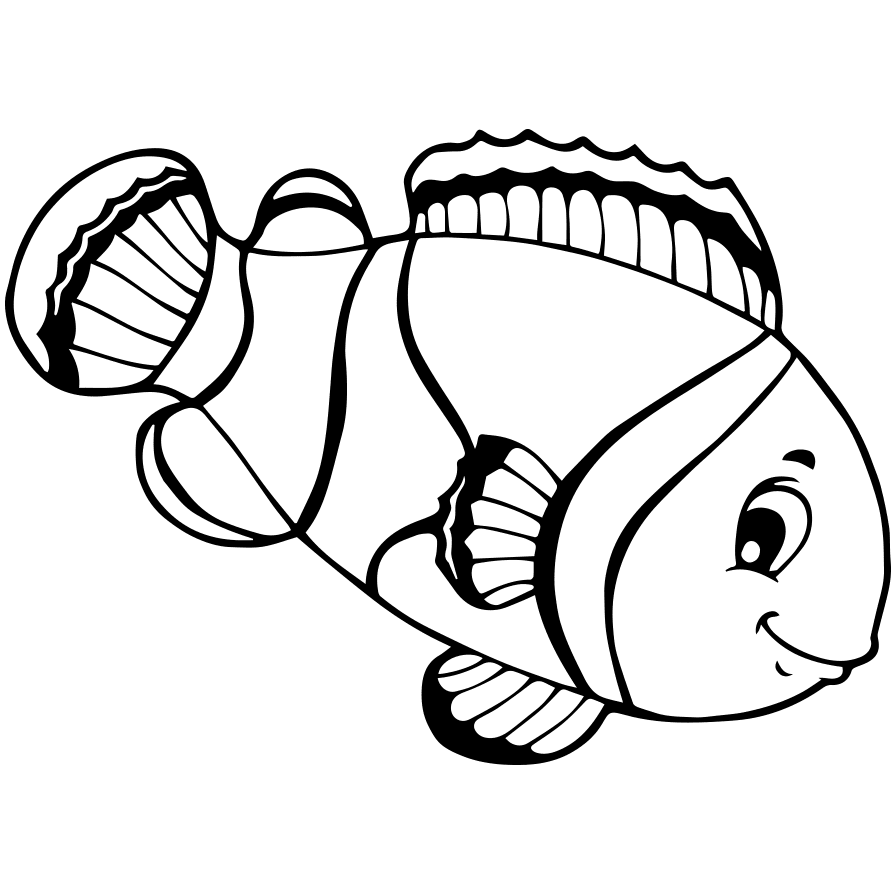 Download 41 Gambar Kolase Ikan Nemo Terbaru Gambar Ikan