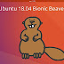 Ubuntu 18.04 LTS Bionic Beaver "Final Beta" Lançado: Faça o download agora