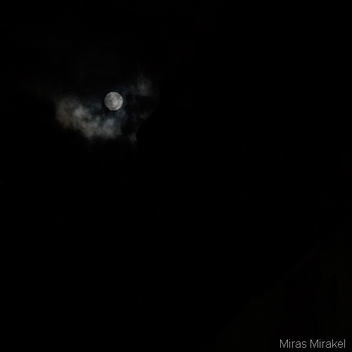 _DSC0854p