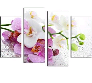 www.banggood.com/Orchid-Paintings-4Pcs-Combination-Printed-On-Canvas-Frameless-Drawing-Home-Wall-Decor-Gift-p-1024408.html?utm_source=sns&utm_medium=redid&utm_campaign=recenzije11&utm_content=chelsea