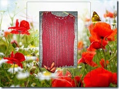 Crochet red top 1