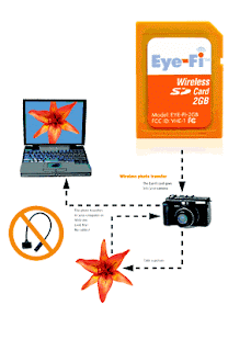 Mentransfer foto dari kamera digital dengan Wifi