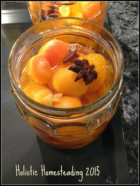 Pickled apricots