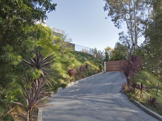 Photo of the driveway up the hill to the gate into the property