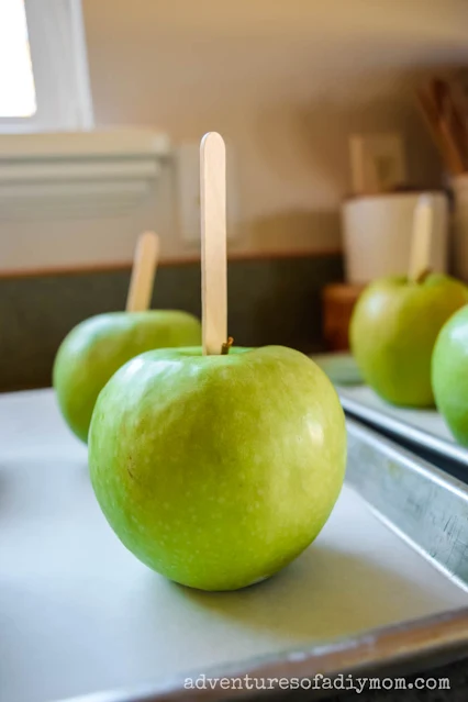 apple with popsicle stick