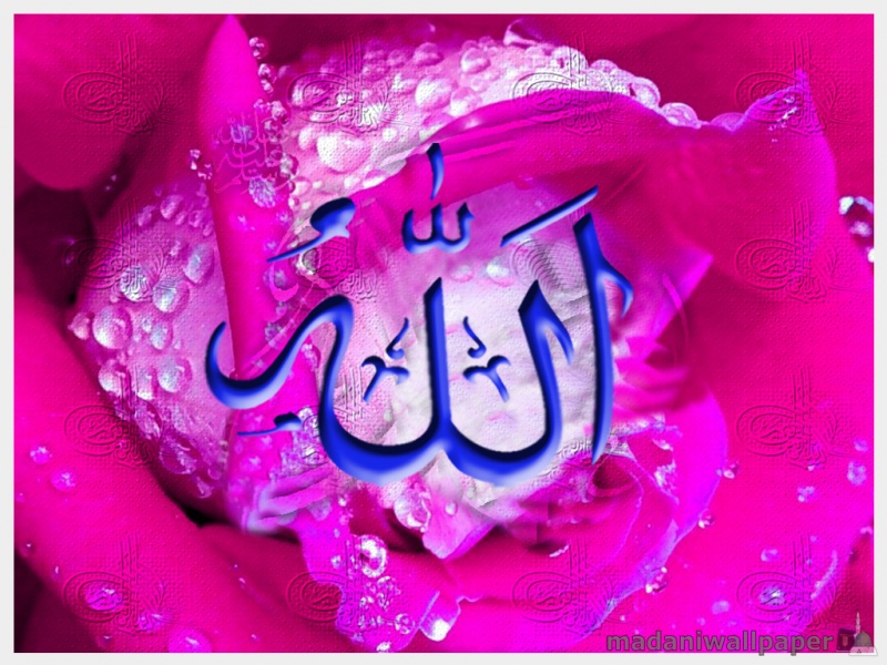 Name of Allah Wallpaper | 3D Wallpaper | Nature Wallpaper | Free