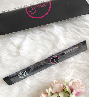 Sigma beauty brushes welcome gift