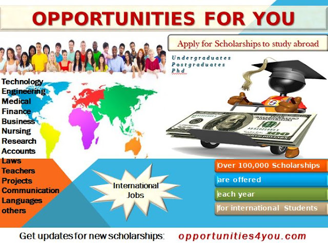 scholarships for tanzania
