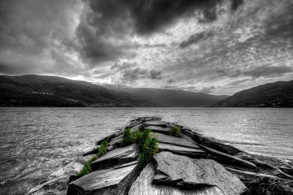 best photos 2 share: Outstanding Examples of Selective Color Photography