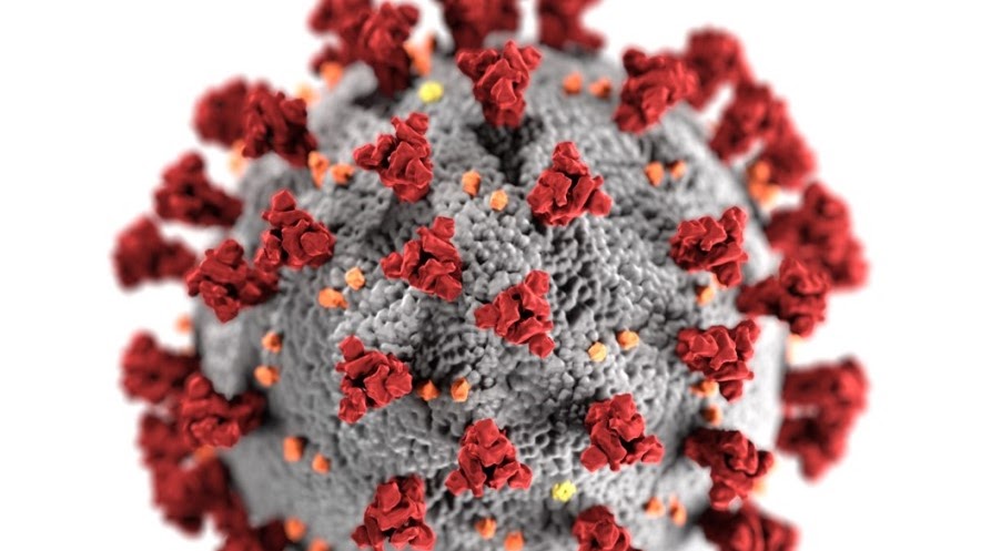 Modes of transmission of virus causing COVID-19: implications for IPC precaution recommendations
