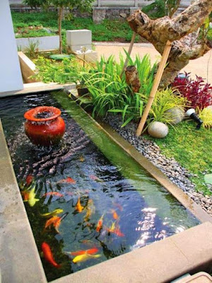Best Ideas to design your garden with greenies pools