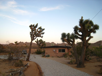 Rock Haven Cabin Driveway Joshua Tree National Park California