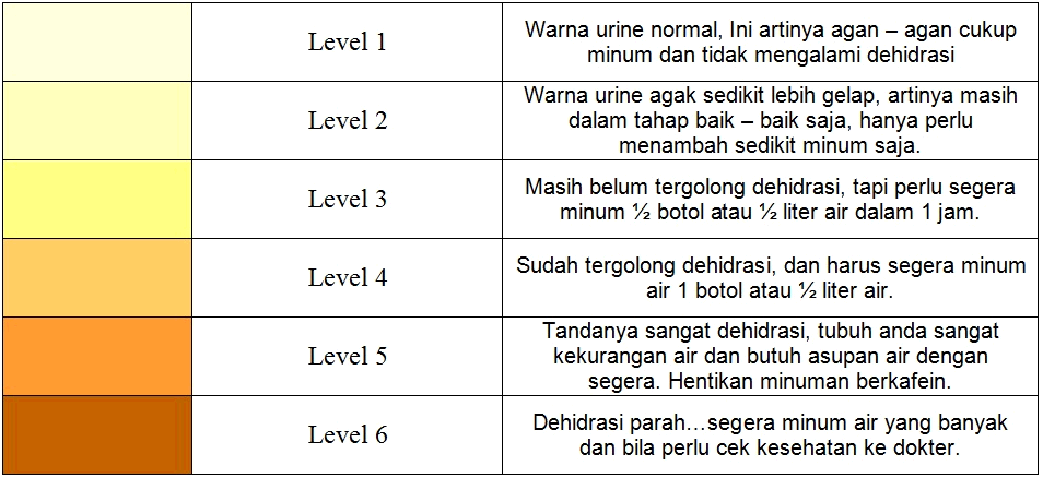 Tempoh kehamilan bagi dos harian sebanyak 400 mcg.*