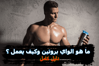 أوقات تناول الواي بروتين