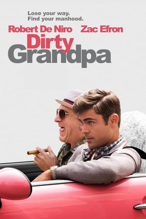 Watch Dirty Grandpa 2016 Full Movie With English Subtitles