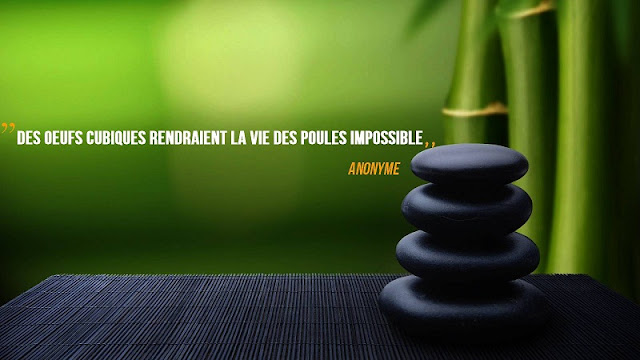 citation sur la vie