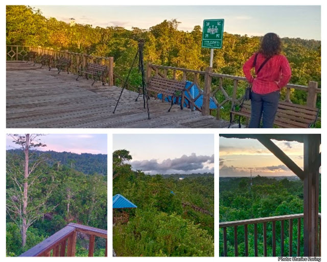 birding walk in Indonesia