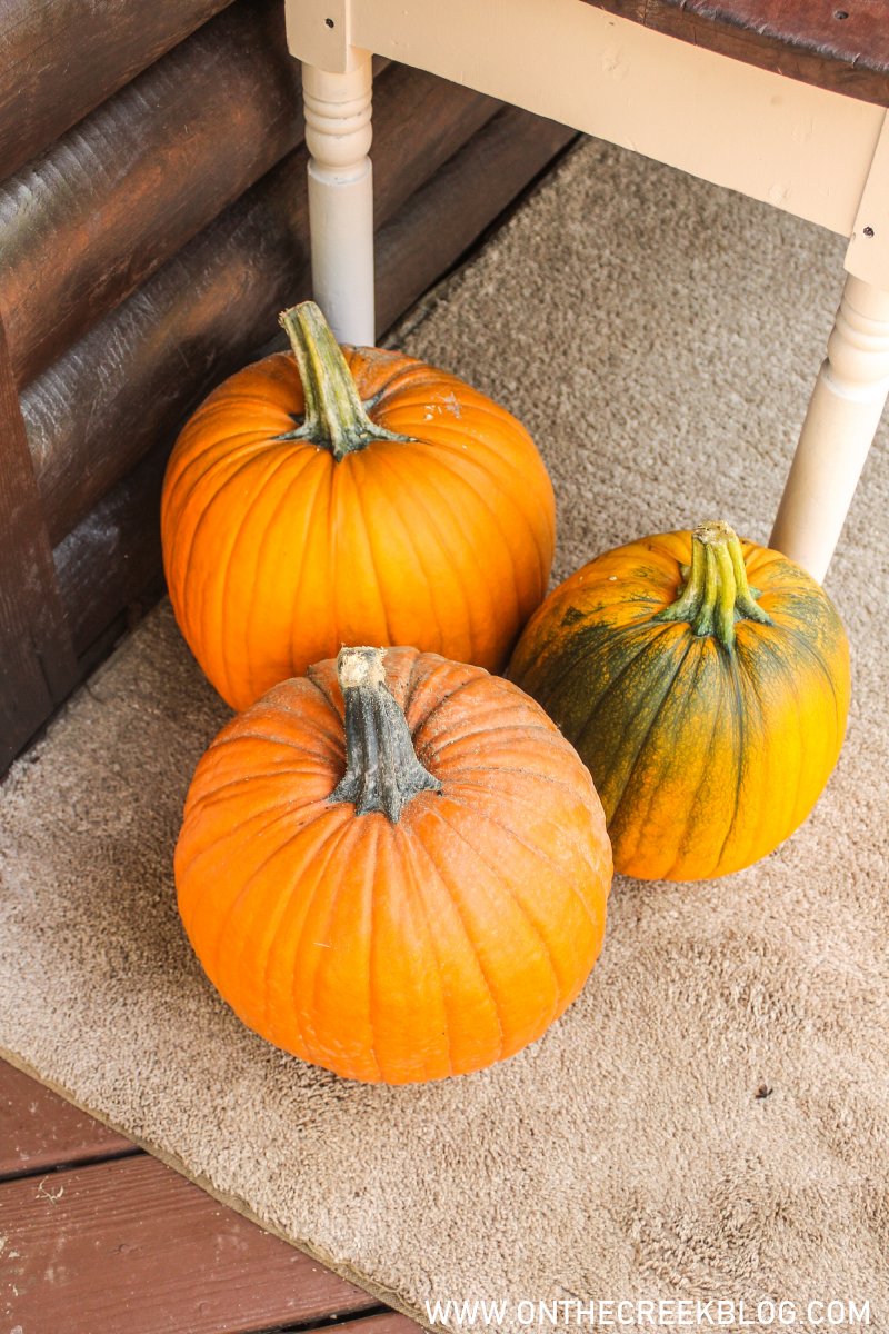 pumpkins grown in our garden | On The Creek Blog