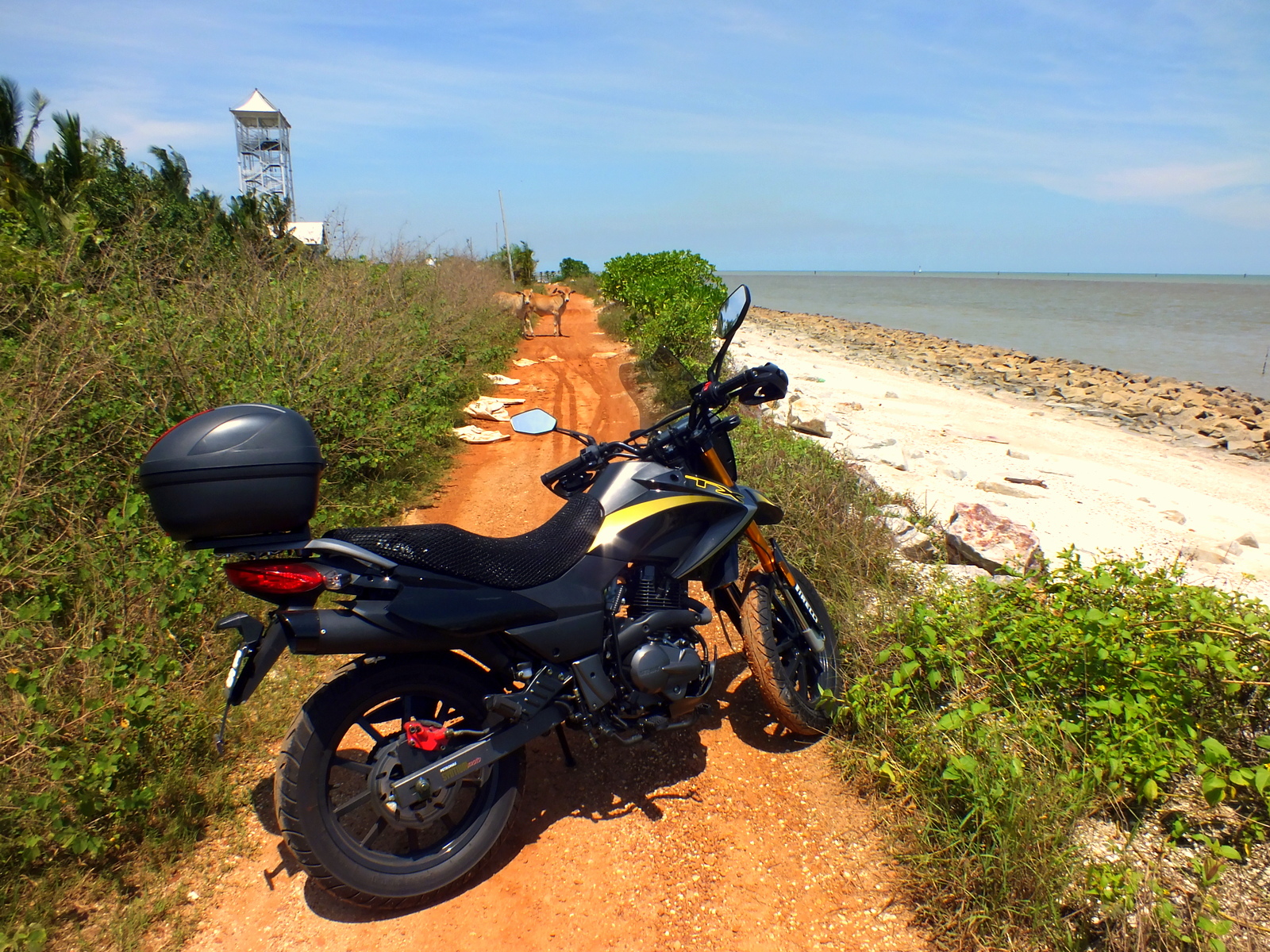 Travelling and Living the life: Motorcycle travels: KL 