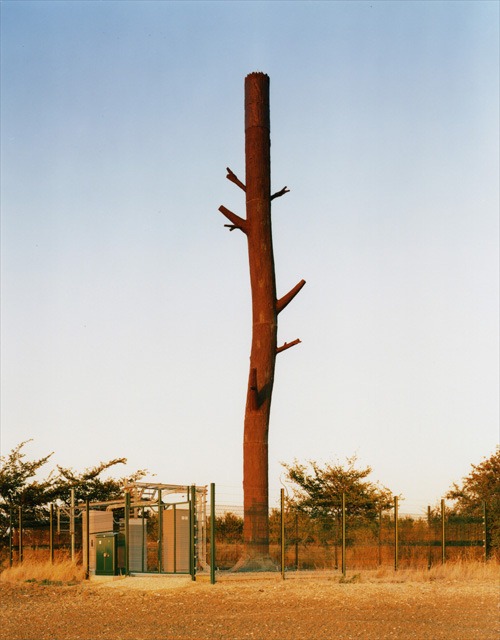 cell-phone-trees (7)