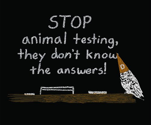 stop animal testing pictures. Read more about animal testing