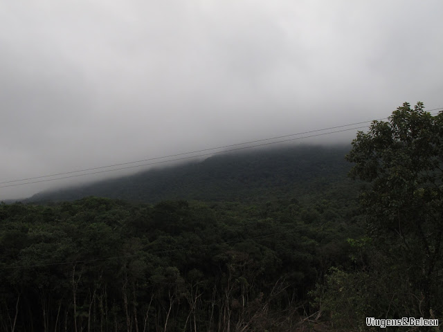 Passeio de trem pela Serra do Mar paranaense