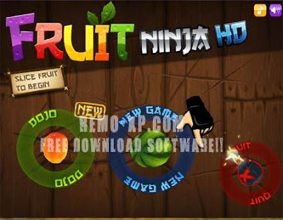 Fruit Ninja HD